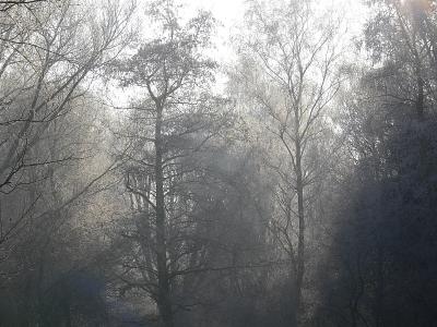 in het park